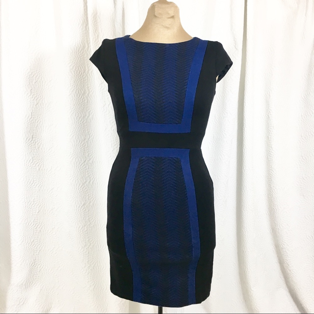 Bcbgmaxazria body con panel dress